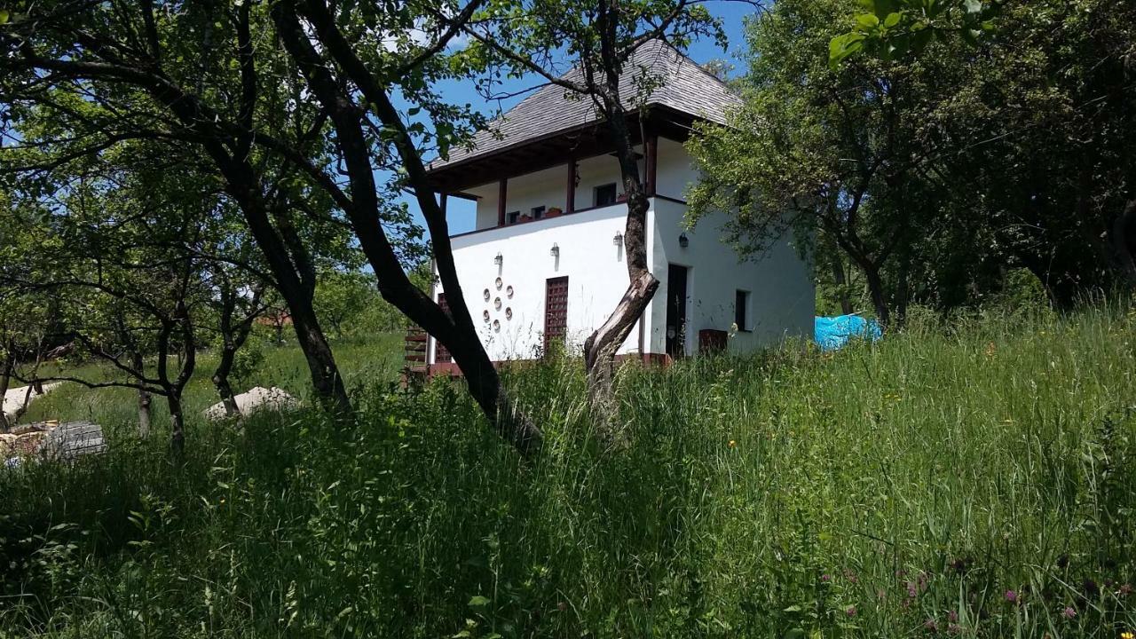 Cottage Poe Poienari Exteriör bild