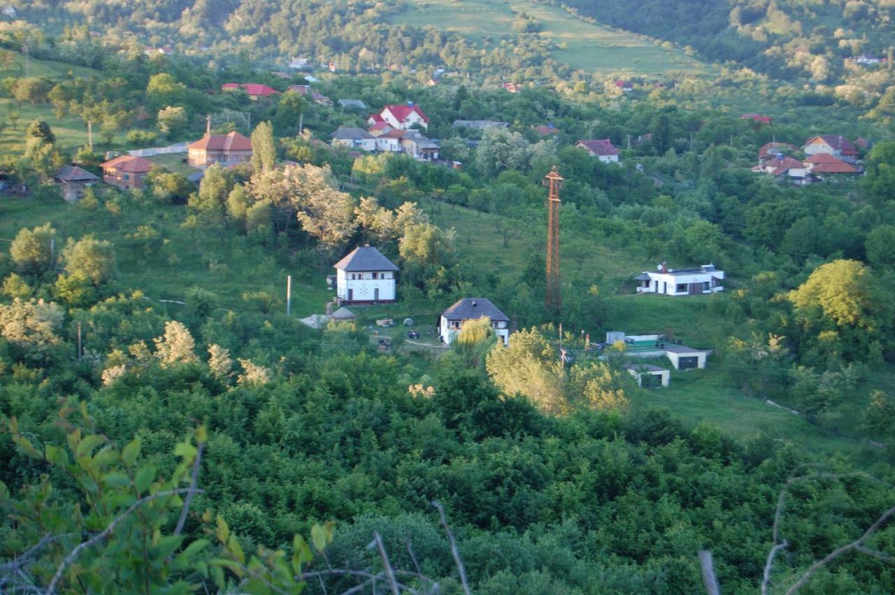 Cottage Poe Poienari Exteriör bild
