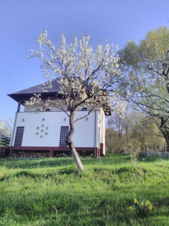 Cottage Poe Poienari Exteriör bild