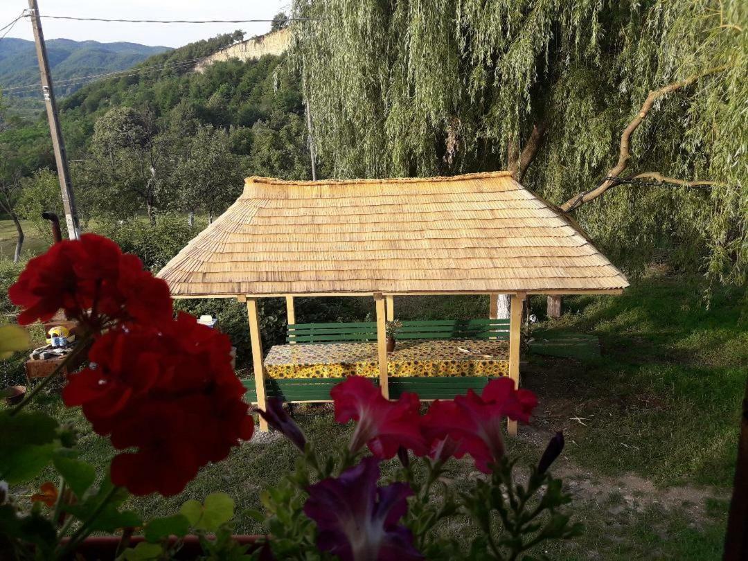 Cottage Poe Poienari Exteriör bild